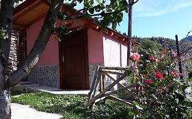 Villa Vrben